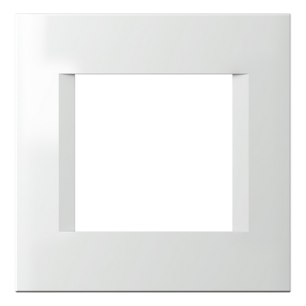 TEM - OL20MW Frame 2M, color White matt, Modul