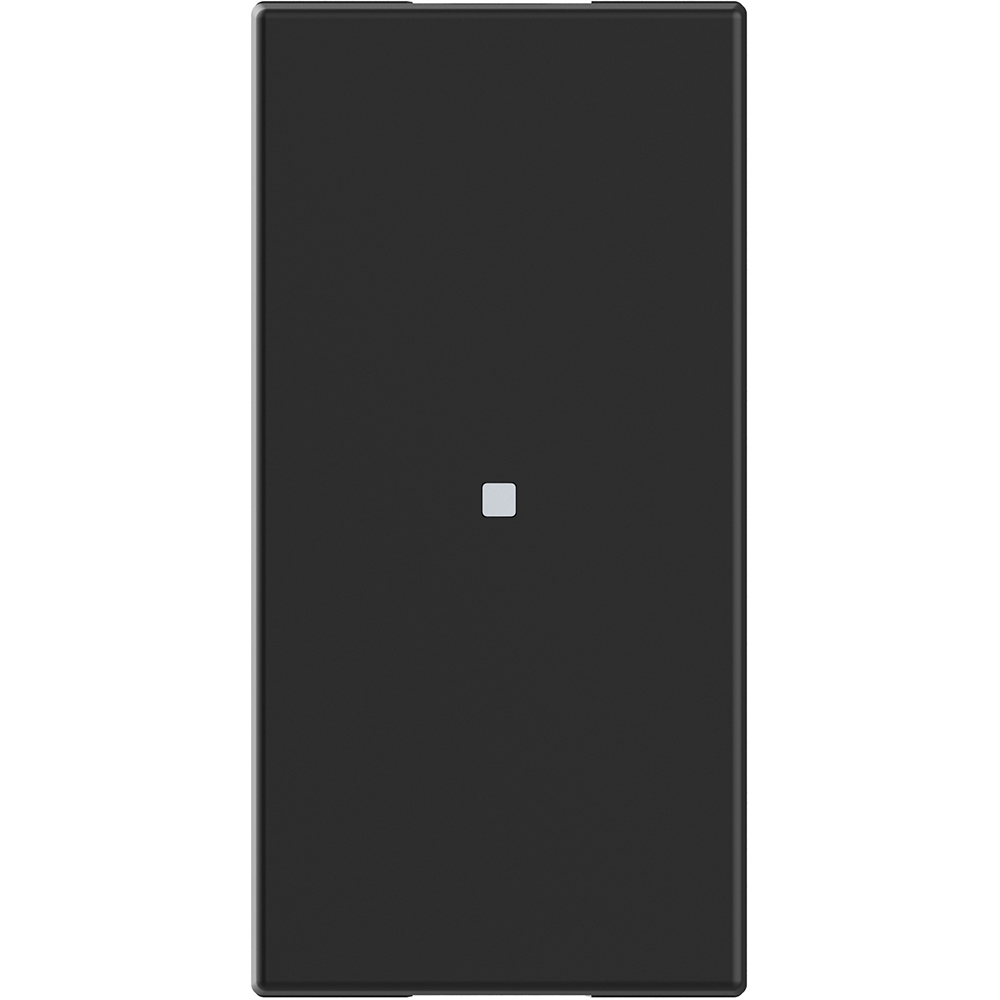 BTICINO - RG4531C Connected socket module