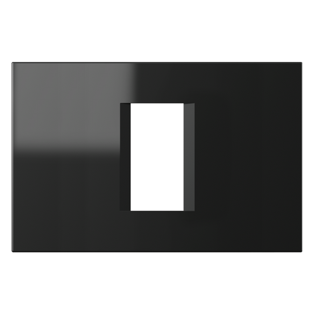 TEM - OL13NB Frame 1/3M, color Black gloss, Modul