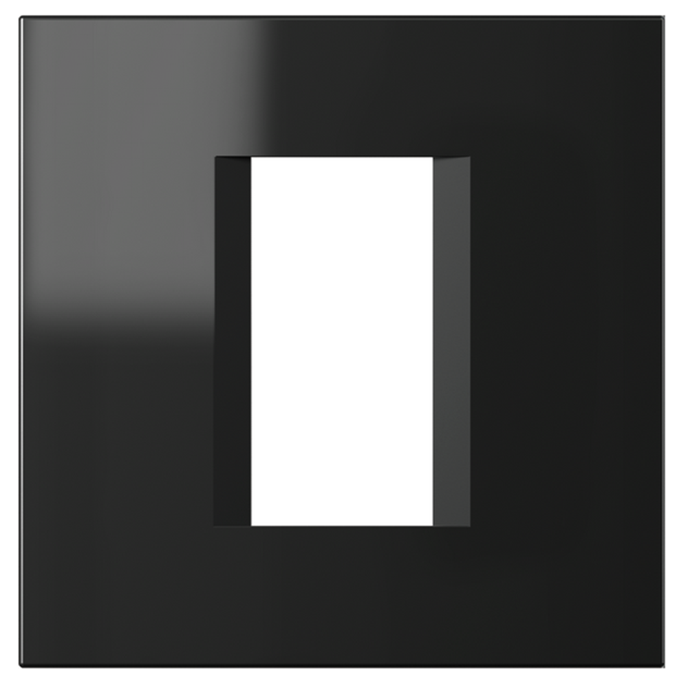 TEM - OL10NB Frame 1/2M, color Black gloss, Modul