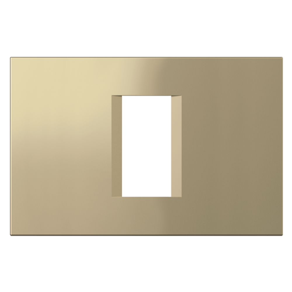 TEM - OL13SG Frame 1/3M, color Gold matt, Modul