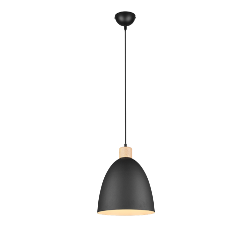 TRIO - pendant luminaire JAGGER – R30681032 E27, 40W