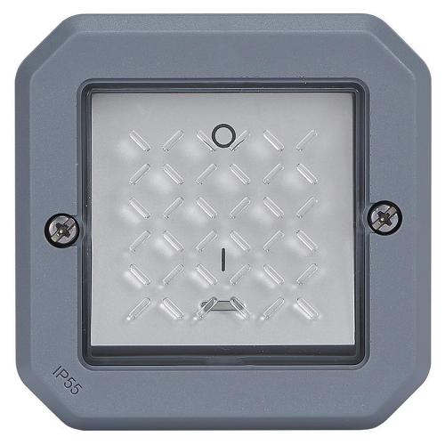 LEGRAND - Влагозащитен Двуполюсен ключ 16А с индикатор Plexo New Сив 69528L