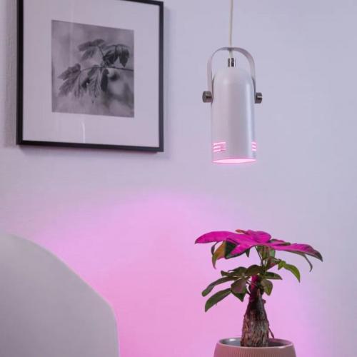PAULMANN - Pendant   79767  Neordic Lavea E27⚡1 х max. 15W✴White