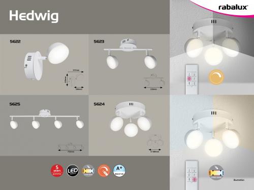 RABALUX - spot luminaire  HEDWIG 5624