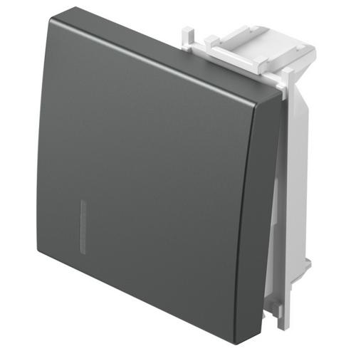TEM - TM12ATIN Face plate switch/button 2M with indicator, color Anthracite, Modul 
