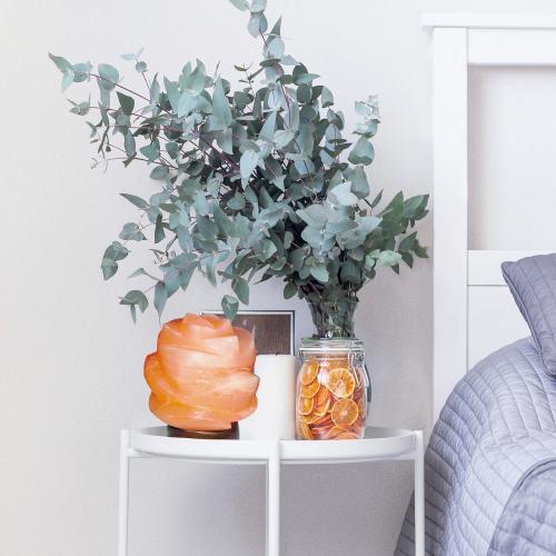 RABALUX - decorative lamp  FLORES  2676