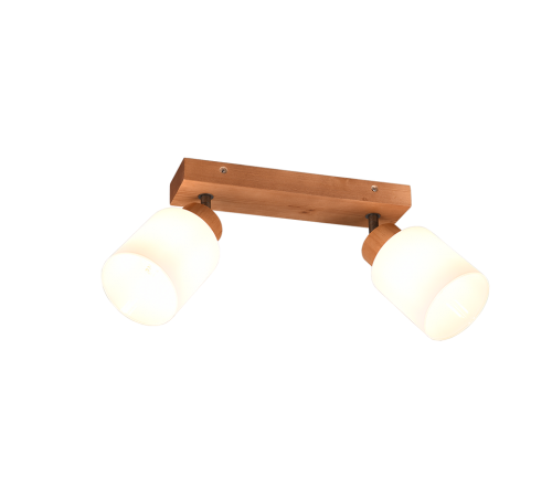 TRIO - spot luminaire  ASSAM - R81112030 2XE14 · max. 25W