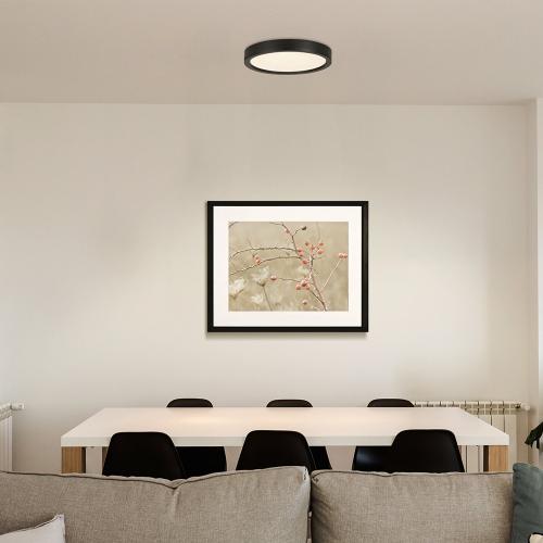 EGLO - surface-mounted light IDUN-E Ø:285mm 17W 2000lm 3000K black - 74158