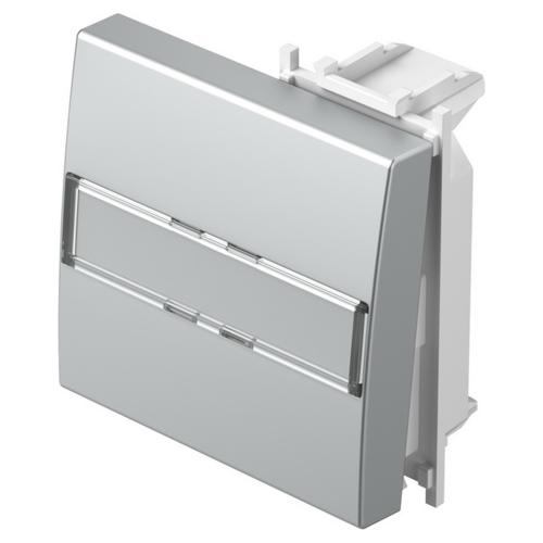 TEM - TM13ESIL Face plate switch/button 2M with label, color Silver matt, Modul