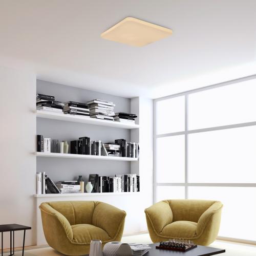 RABALUX - CEILING LIGHTS motion sensor  VENDEL 75015 LED 24W 1460lm 4000K 