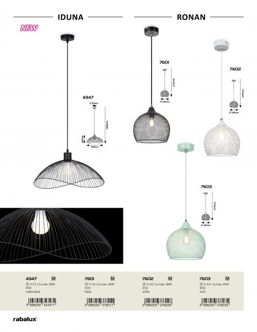 RABALUX - Pendant IDUNA E27 1X60W 4347