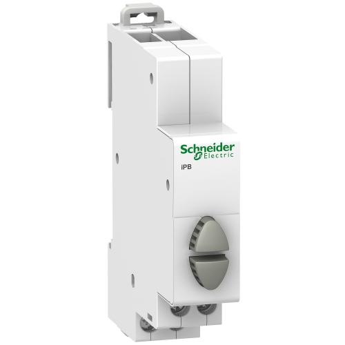 SCHNEIDER ELECTRIC - Dual push button Acti 9 iPB 1NO-1NO  A9E18035
