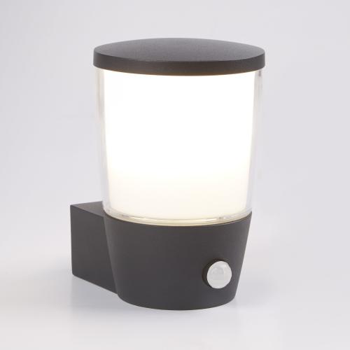SEARCHLIGHT -  0587GY Tucson