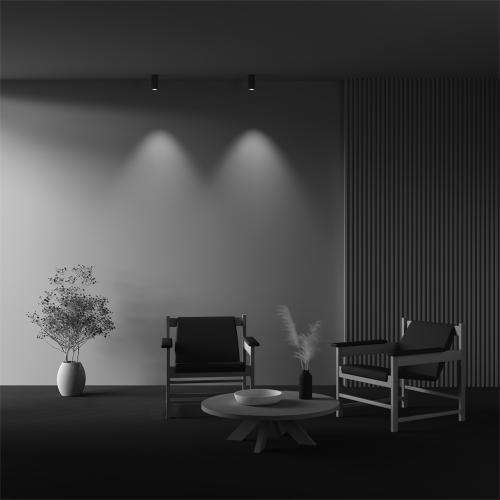 MAYTONI - Спот месинг FOCUS LED 3000K 1x12W 50°  C056CL-L12W3K-W-BS