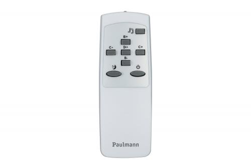 PAULMANN - LED ceiling luminaire Accento starry sky 706.22