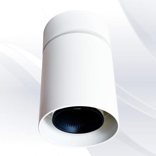 TNL - Surface Mounted downlight ceiling lamp white 919229WH