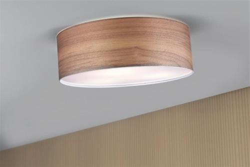 PAULMANN - Ceiling lamp Neordic Liska 796.87
