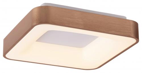 RABALUX - Плафон CARMELLA  5056 LED 30W, 4000K