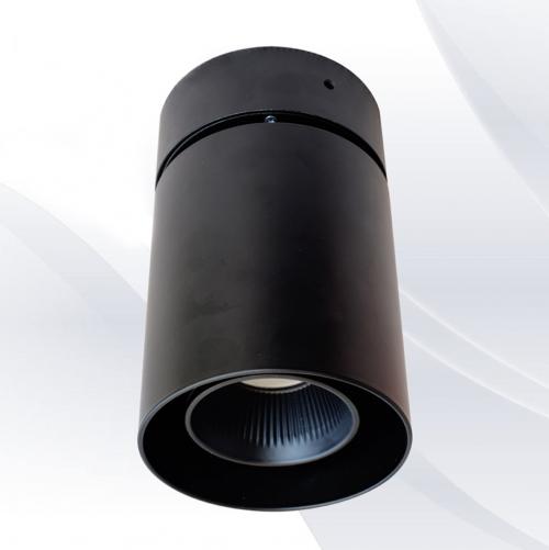 TNL - Surface Mounted downlight ceiling lamp black 919229BK