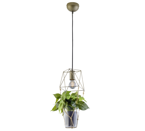 TRIO - PLANT – 301000167 