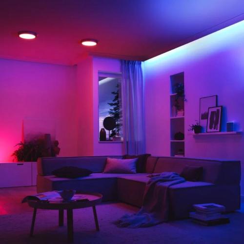 PAULMANN - 50049 YourLED Controller Smart Home Zigbee 3.0✴RGB⚡DC 12V⚡max. 60W✴White/Gray