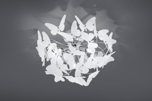 TRIO - BUTTERFLY – R60213017 