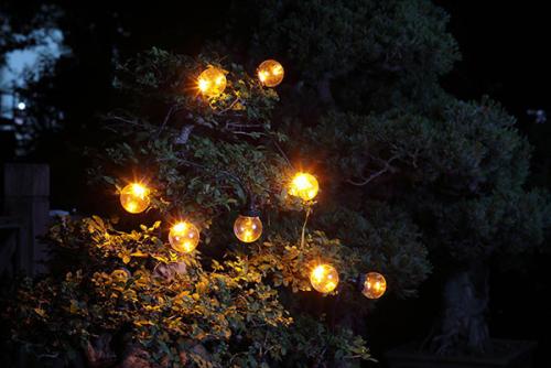 ELMARK - SOLAR LED STRING LIGHT 0.6W 8PCS. 2000K IP68 - 98SOL23439