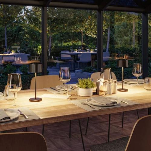 PAULMANN - Декоративна лампа  94878  Solar battery-powered light Else⚡ IP44⚡dimmable⚡2700K⚡LED 2.5 W⚡200 lm / 250 lm✴Черен