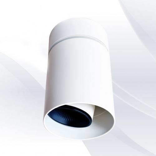 TNL - Surface Mounted downlight ceiling lamp white 919229WH