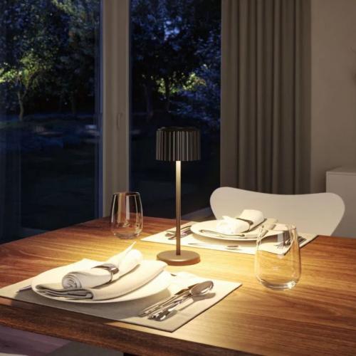 PAULMANN - Декоративна лампа  94878  Solar battery-powered light Else⚡ IP44⚡dimmable⚡2700K⚡LED 2.5 W⚡200 lm / 250 lm✴Черен
