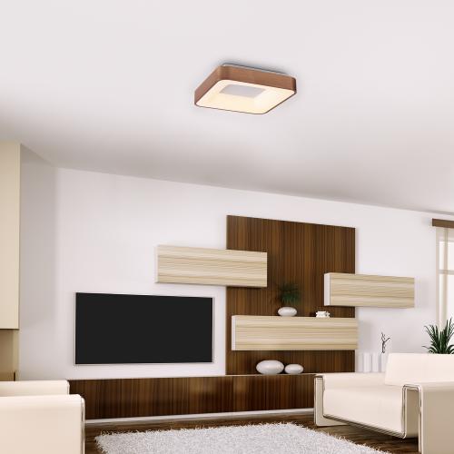 RABALUX - Плафон CARMELLA  5056 LED 30W, 4000K