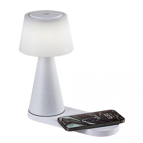 RABALUX - Night / Table lamp 74214  Zavier   LED5W✴H26cm✴220lm✴3000 / 4000 / 5000К⚡DC 5V