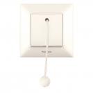 PANASONIC - Emergency switch  Arkedia Slim WNTC0025-2BG beige