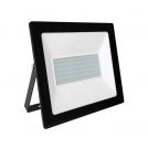 ACA LIGHTING - LED floodlight 100W, 6000K, 220V, IP66, cold light Q10060