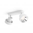 PHILIPS - Спот Bukko - двойна насочена светлина 50602/31/P0