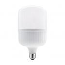ACA LIGHTING - LED крушка E27 P129 230V AC 39W 4000K 4220lm IP65 P12939NW