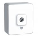 ACA LIGHTING - Телевизионна розетка крайна за външен монтаж MURATA Бял 1000224001