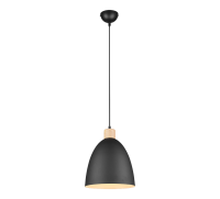 TRIO - Пендел JAGGER – R30681032 E27, 40W