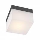 REDO GROUP - wall\ceiling luminaire CUBE 9445  AP/PL LED SMD 6W IP65 DG 3000K