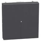 BTICINO - Button 2M axial color Graphite Light Now YD4055M2A