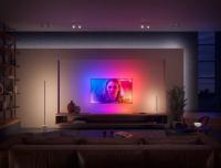 PHILIPS - Градиентно стоящо осветително тяло за под Signe 8718696176252 (4)