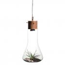 ACA LIGHTING - Пендел  PRIMARY  V120BO (1)