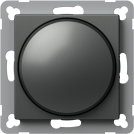 TEM - Dimmer rotatable R=10-250W LED=0-100VA color Anthracite Logiq EQ19ATXO
