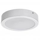 RABALUX -  LED Panel for outdoor installation white circle SHAUN2 24W 2600lm IP20 4000K 71194