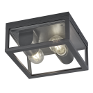 TRIO - ceiling luminaire GARONNE 601860242  2xE27, 10W, IP44