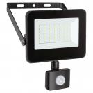 RABALUX - LED floodlight with a sensor FLOOD 7068 LED 30W 2700lm 4000K IP44