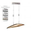 Fischer And Honsel - pendant  luminaire   COLMAR  13287 (1)