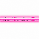 ACA LIGHTING - LED лента COB розова 24VDC 10.5W/m 480LEDS/m IP20 8mm 24105CPI