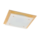 RABALUX - Ceiling lamp June 3033